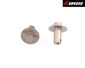 TRASCINATOIRI DIFFERENZIALE  POSTERIORI IRIS