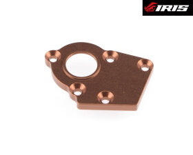 TAPPO AMMORTIZZATORE SINISTRO IRIS