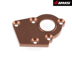 TAPPO AMMORTIZZATORE DESTRO IRIS